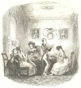 The Domestic Young Gentleman book cover